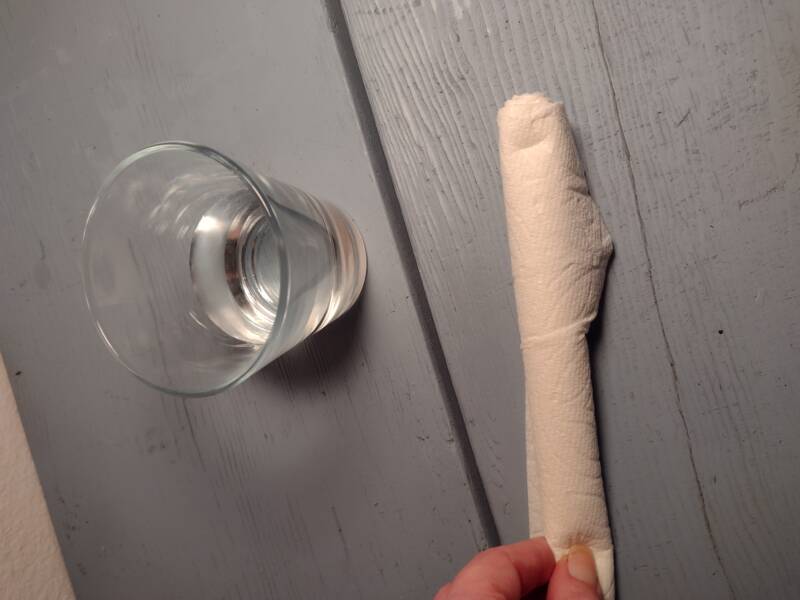 Napkin Germination Method