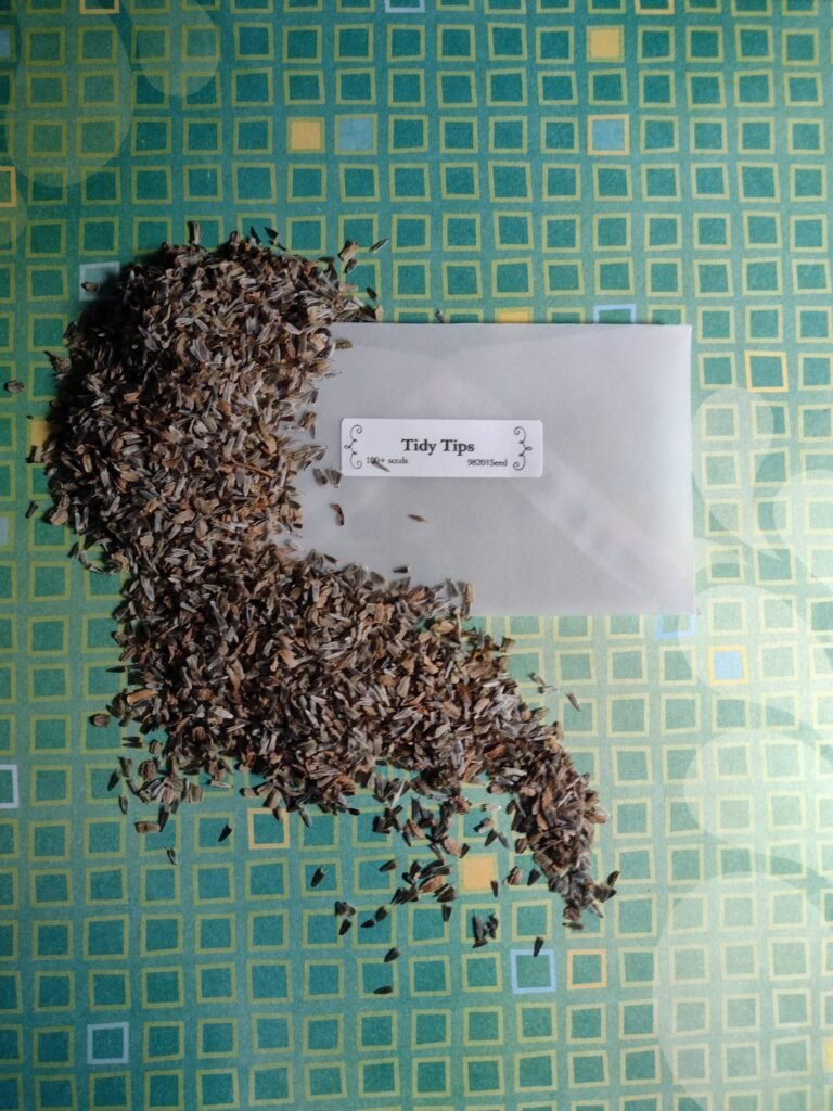 Tidy Tip Flower Seeds