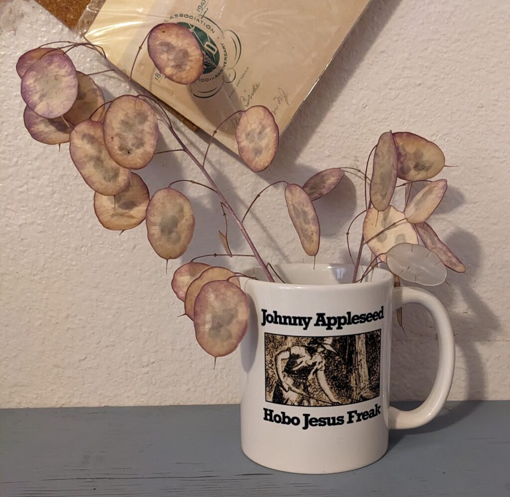 98201Seed Store Stuff, Johnny Appleseed Mug with Money Plant pods